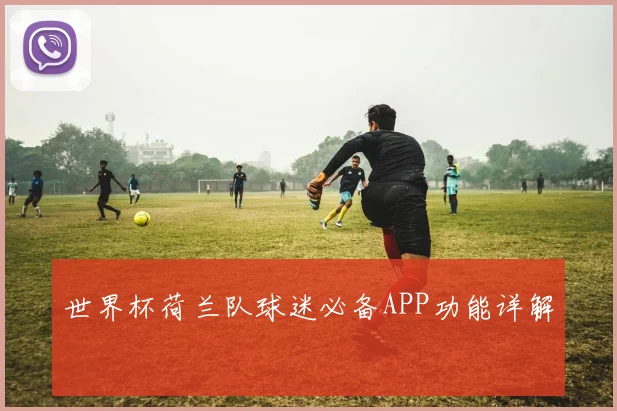 世界杯荷兰队球迷必备APP功能详解