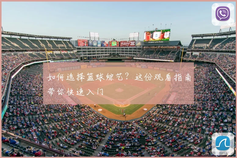 如何选择篮球综艺？这份观看指南带你快速入门